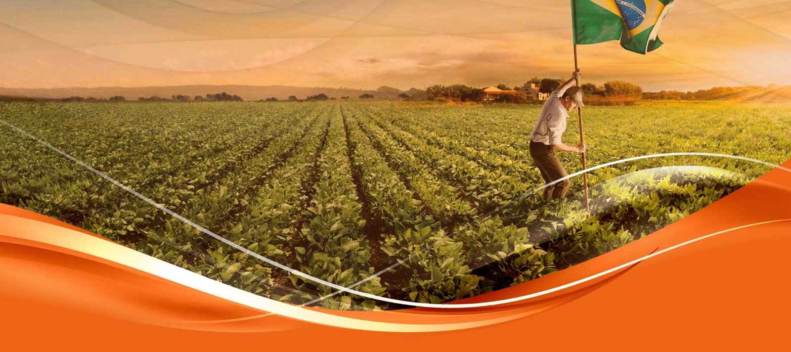 GL MÁQUINAS - Máquinas Agrícolas